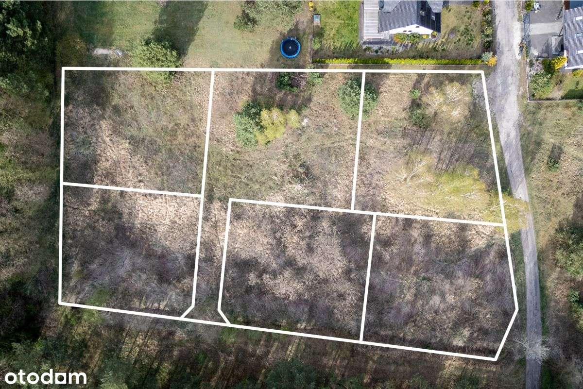 Otoczenie lasu Możliwy podział na 6 działek Plan