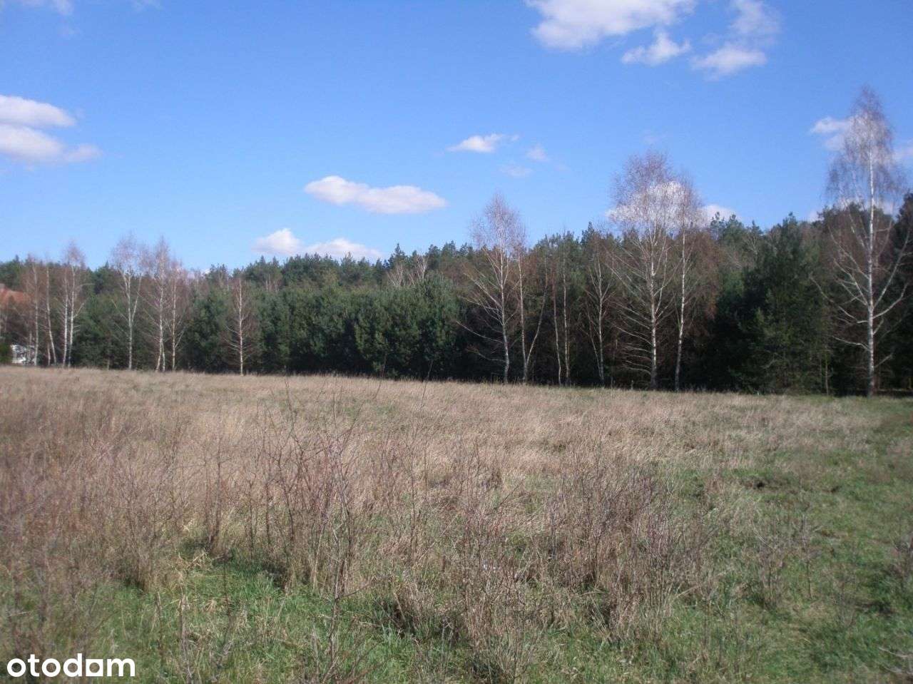 Działka, 1 030 m², Borówiec - Pełny obrazek: 2/9