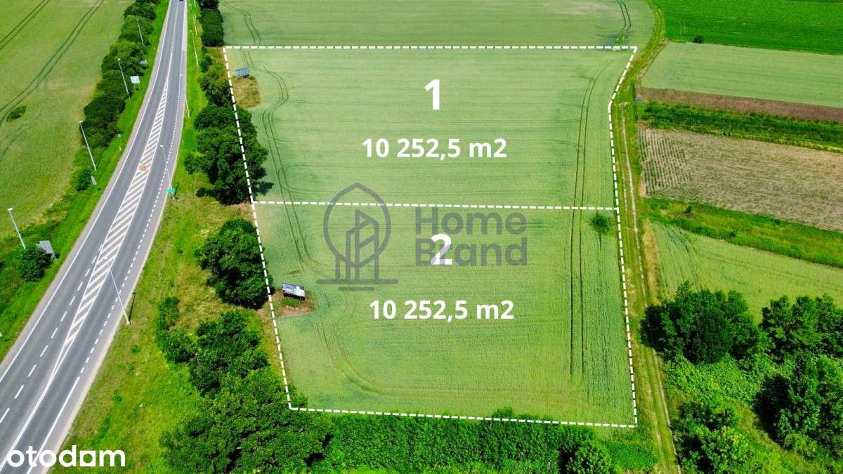 Nowy Dwór| Obok S5| idealna lokalizacja| - Pełny obrazek: 4/8