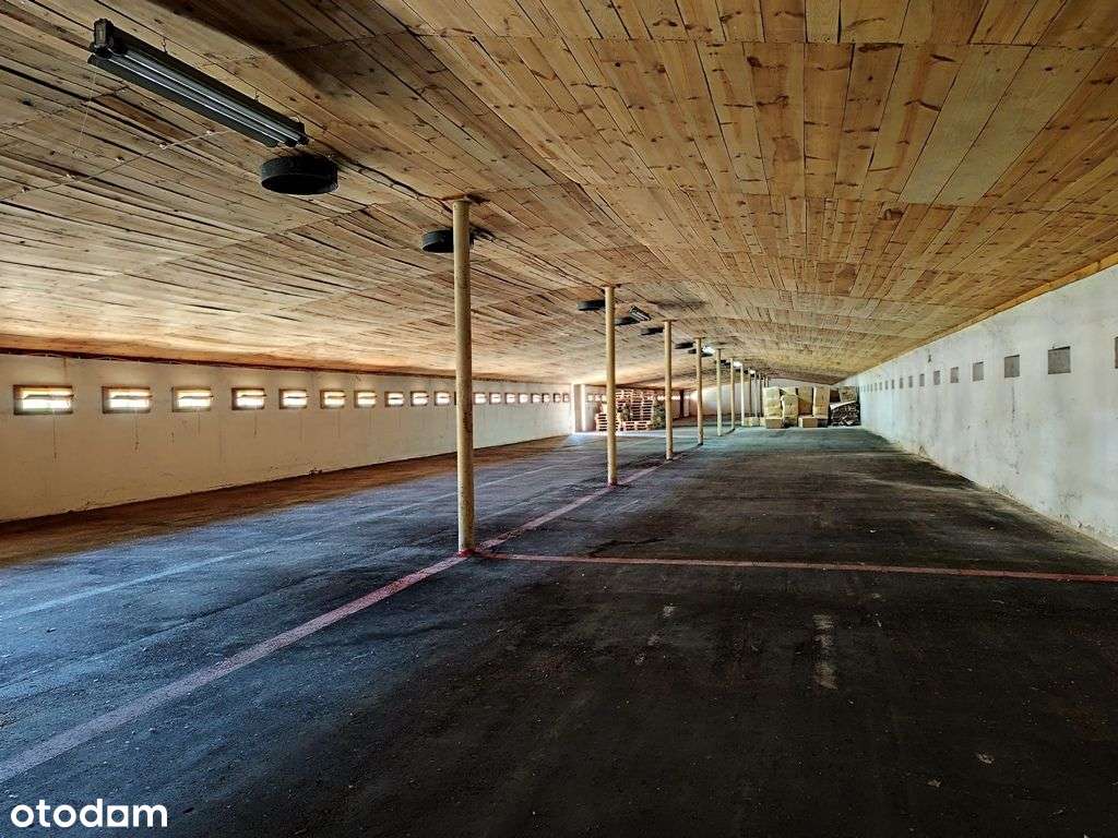 Zakład produkcyjno-magazynowy PU 5000m2 IGLOOPOL Brzesko-4