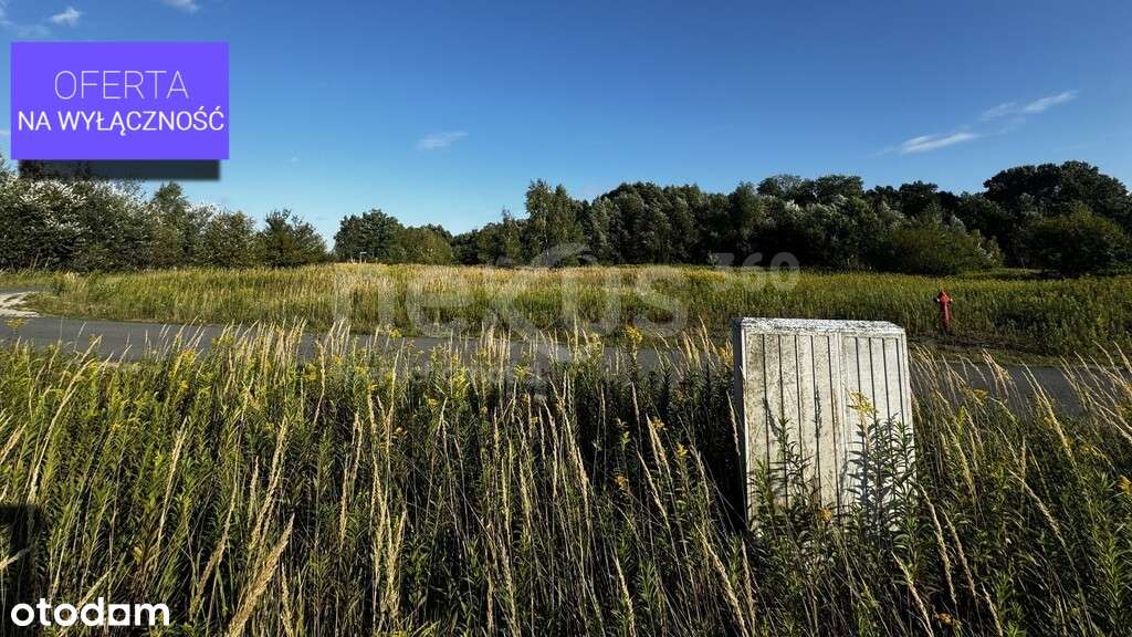 Odkryj Magię Podkowy Leśnej–Perła Nadolic Wielkich - Pełny obrazek: 5/8