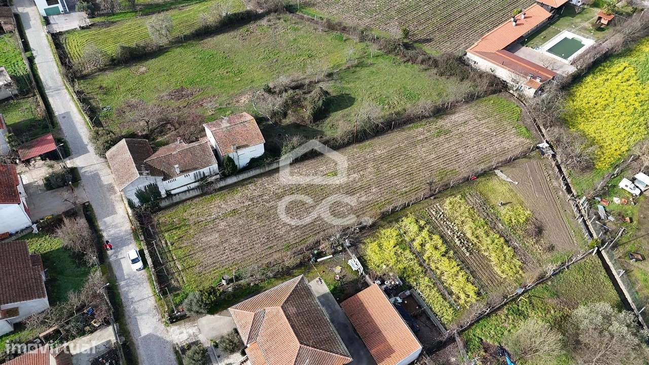 Terreno Rústico com Excelente Acesso e Abundância de Agua para rega –-8