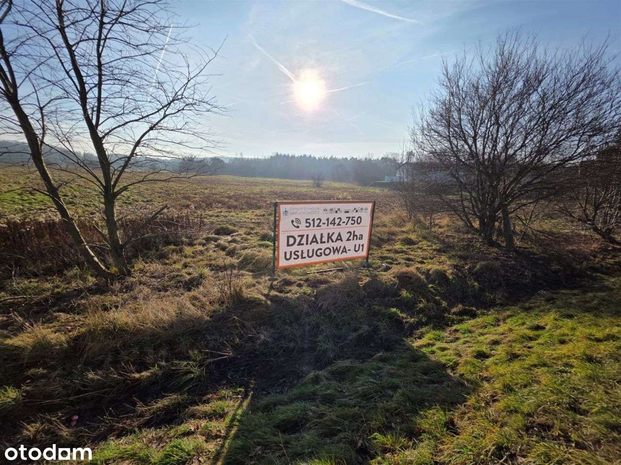 Duża działka przy drodze wojewódzkiej - Komercja-7