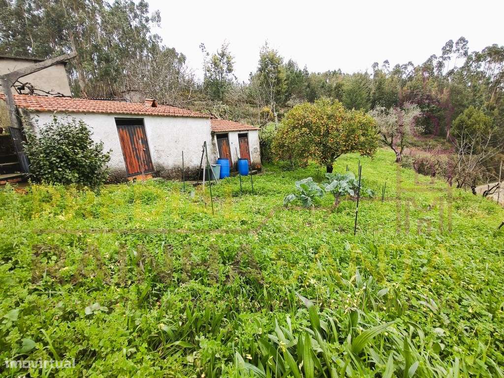 Moradia c/ 5000 m2 terreno , anexos, furo. 16 Km de Coimbra.-23