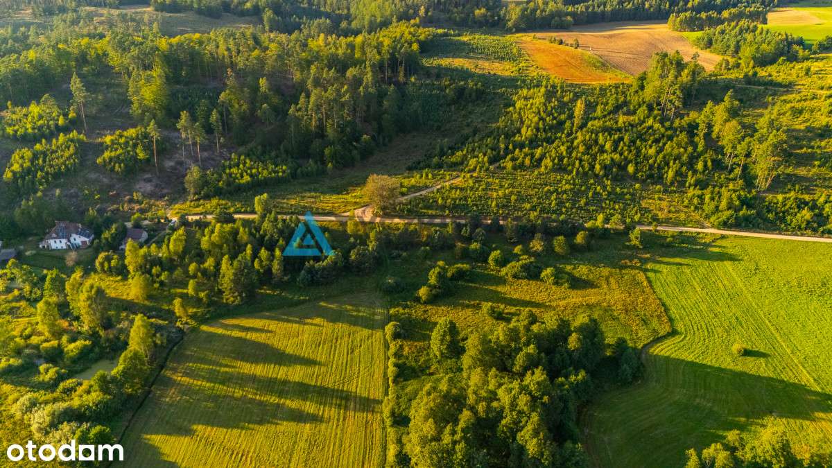 Przepiękna działka z widokiem na rzekę Słupię. - Pełny obrazek: 5/20