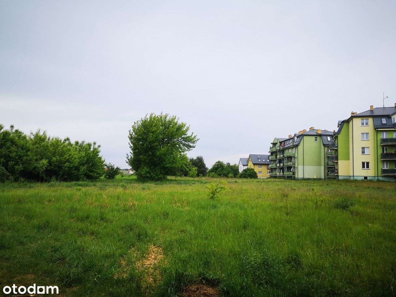 DZIAŁKA dla dewelopera pod osiedle - Pełny obrazek: 3/5