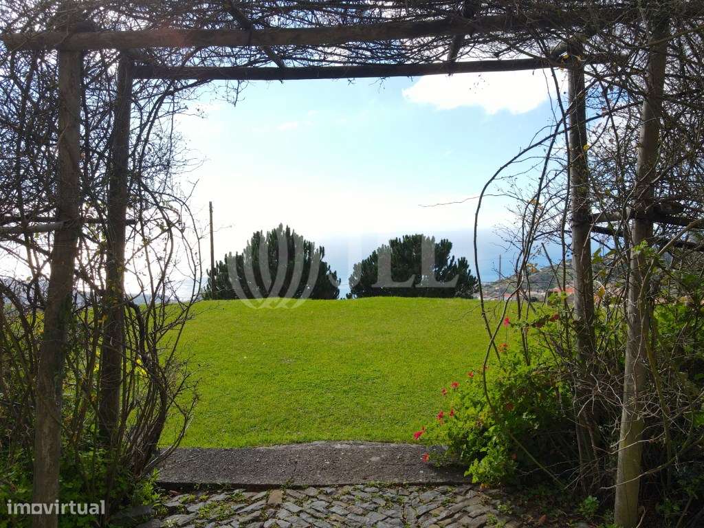 Quinta das Romeiras - Wine Estate, Ilha da Madeira - Grande imagem: 5/21