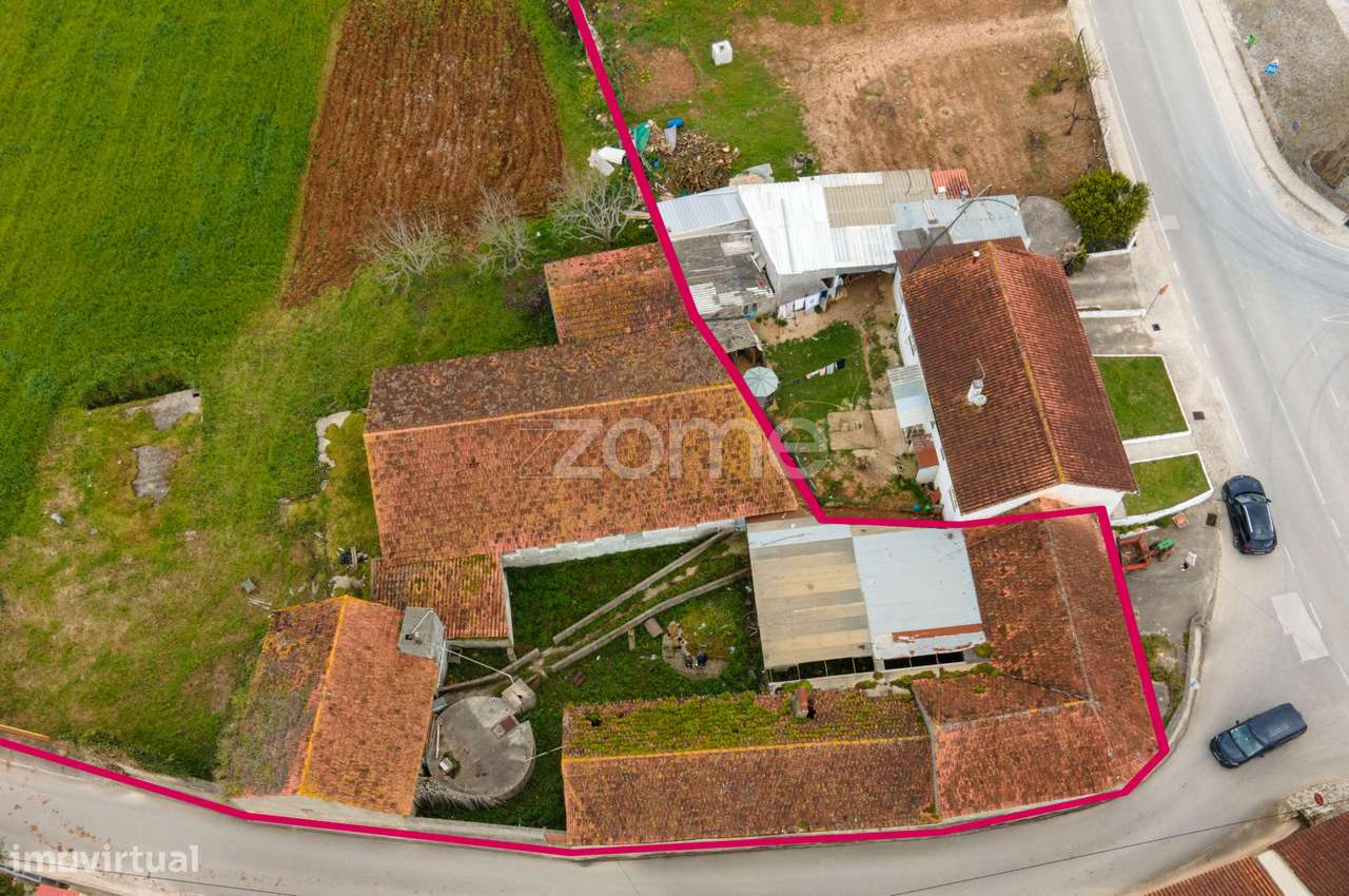 Terreno Urbanizável -Moleanos- Alcobaça - Grande imagem: 5/26