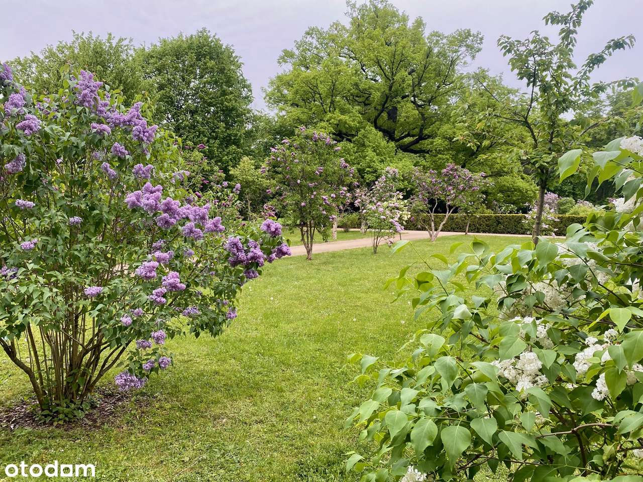 Widok na Pałac Kultury I 6 Parków I Śliczne 3-pok I Cicho I Balkon-7