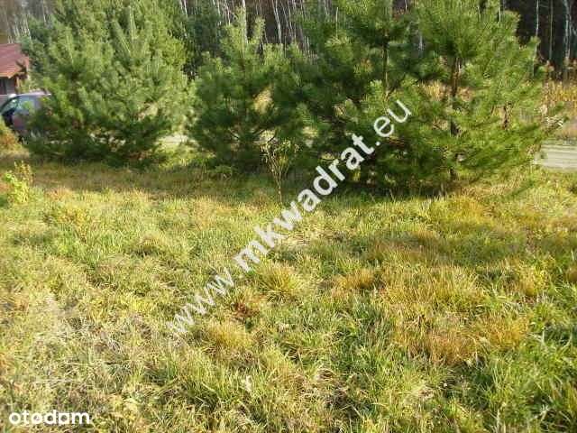 Działka w super lokalizacji! - budynek 2-lokalowy - Pełny obrazek: 5/6