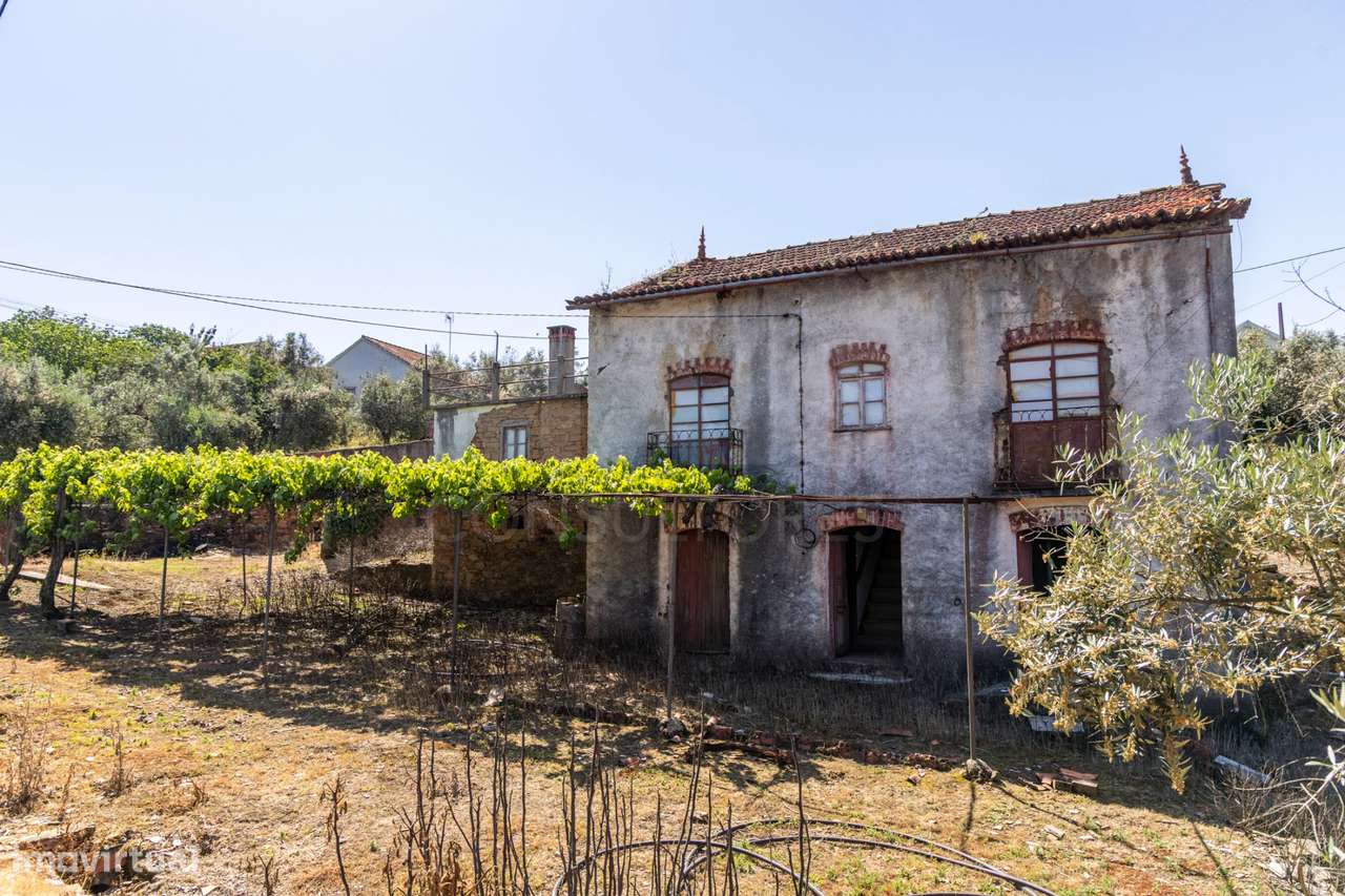 PROPRIEDADE DE CARÁTER NA N2 | 400 m² DE CONSTRUÇÃO, OLIVAL E POTEN...-15