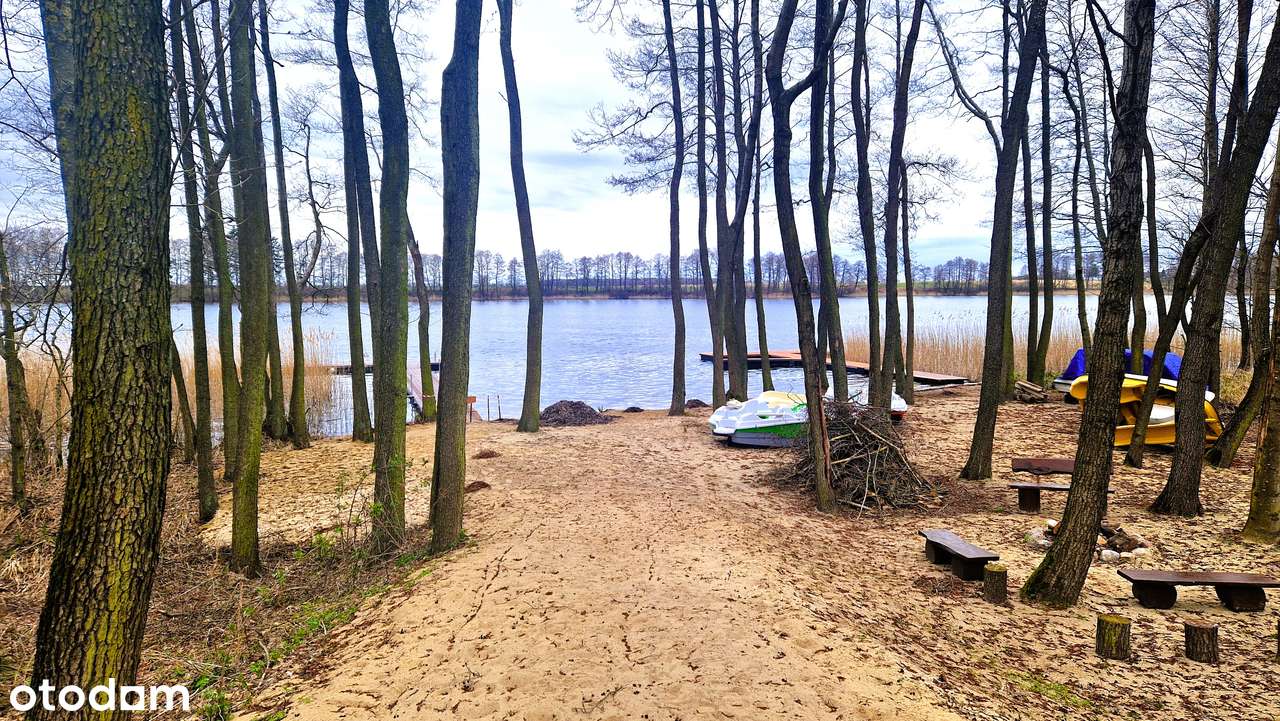 Pierwsza linia brzegowa, piękna plaża wśród piasku i drzew - Pełny obrazek: 5/16