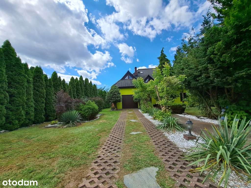 Borowa Raków dom wolnostojący działka 3230m2 - Pełny obrazek: 3/20