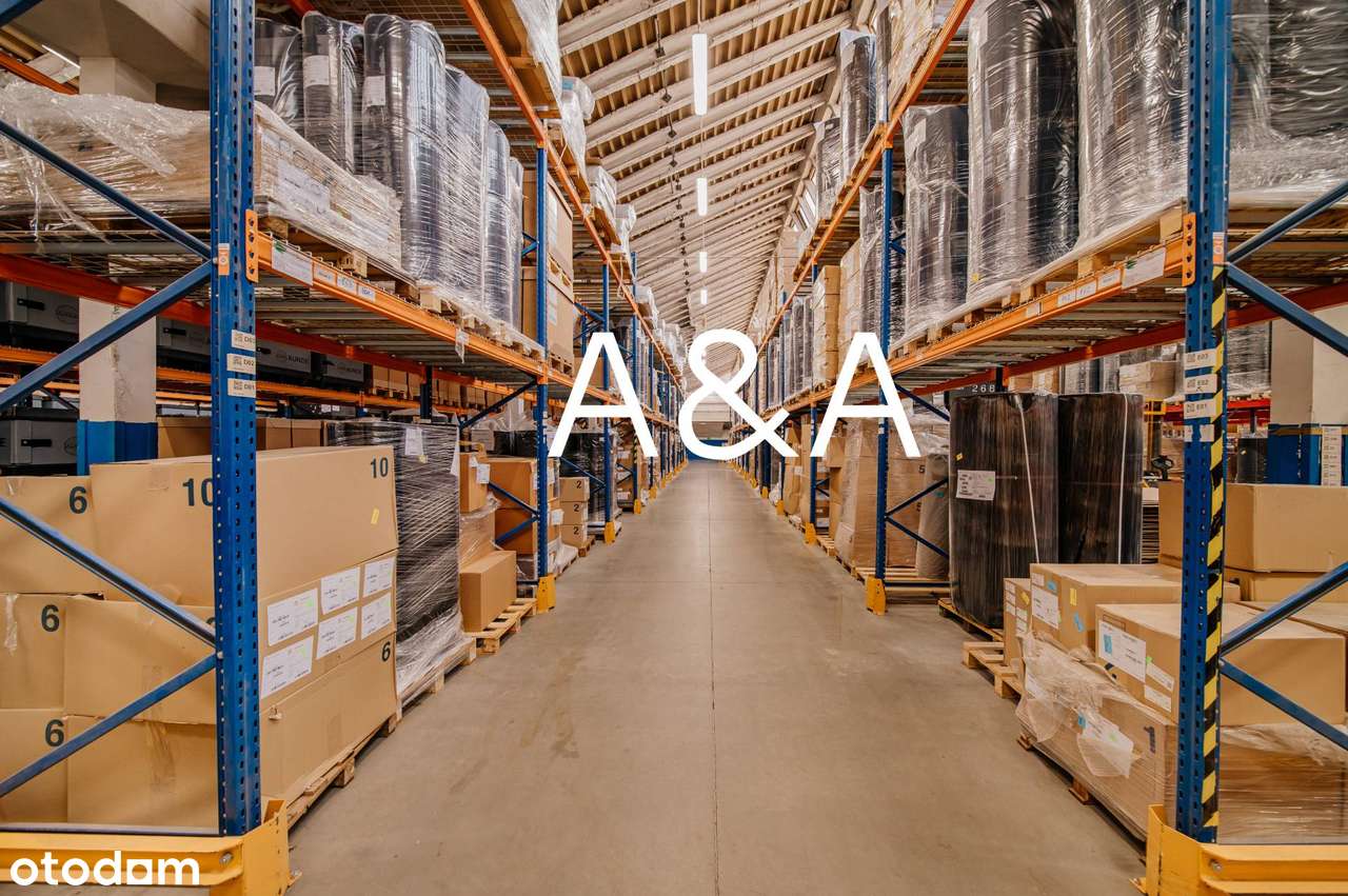 Hala produkcyjno magazynowa 7 685 m2 - Pełny obrazek: 5/12