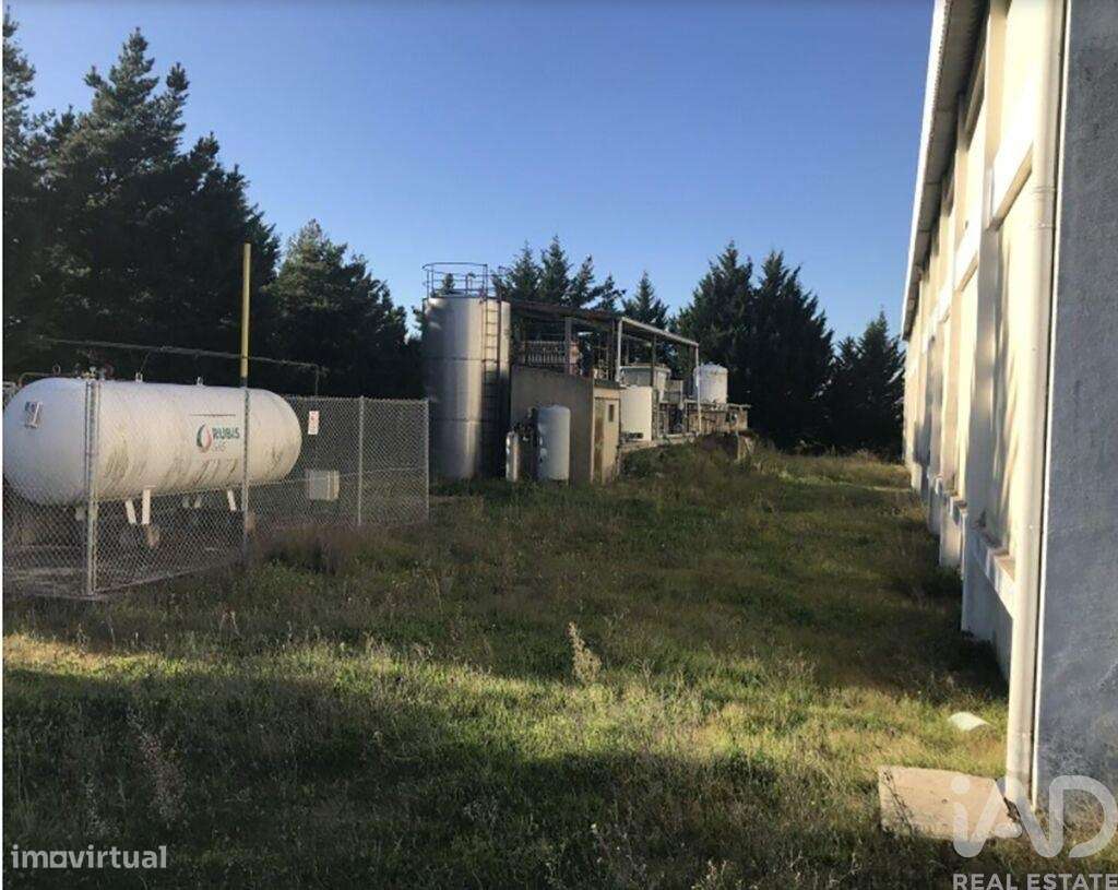 Loja / Estabelecimento Comercial em Idanha-a-Nova e Alcafozes de 3734, - Grande imagem: 3/11