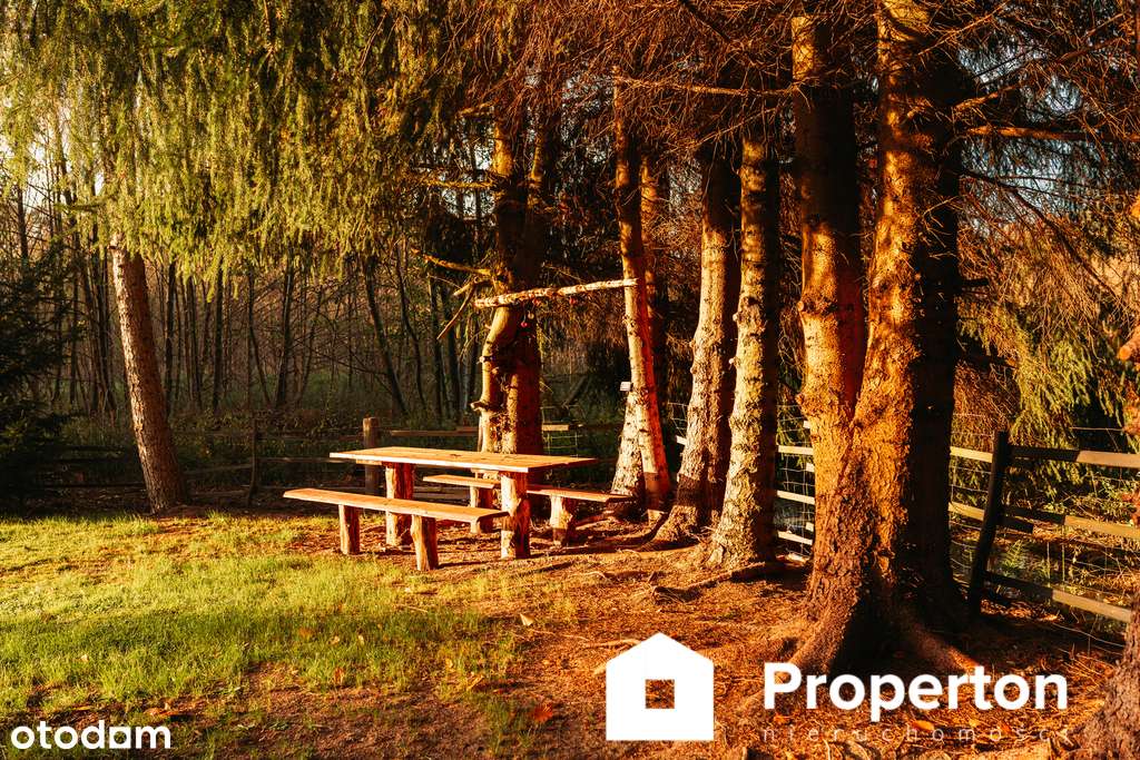 Okazja Agroturystyka w Gądkowie Wielkim - Pełny obrazek: 5/20