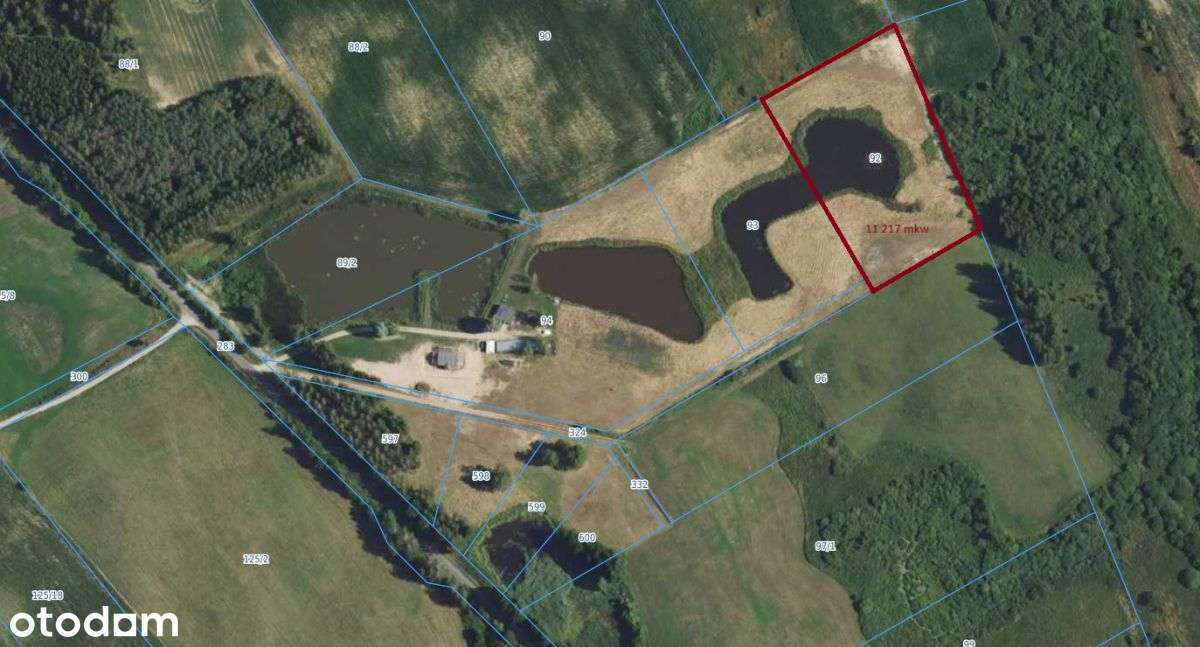 Działka z prywatnym stawem / WZ / Rydzewo-0