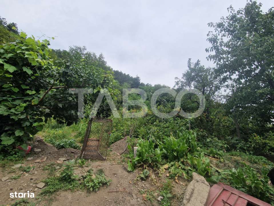 Casa individuala 3 camere cu teren de 446 mp Rasinari Sibiu-11