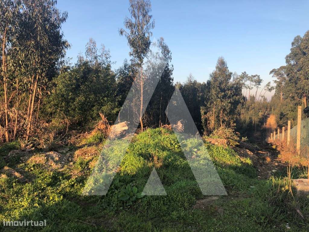 Terreno rústico localizado em Vale d'Erva - Águeda - Grande imagem: 2/9
