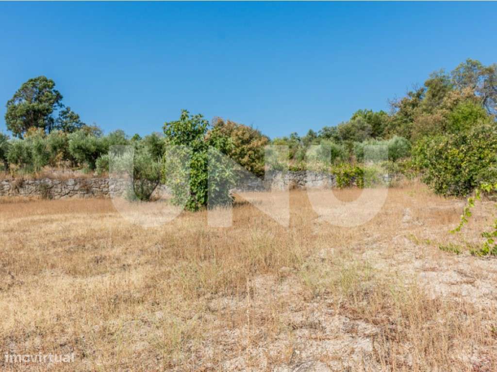 Terreno Rústico com 8900m2 para venda na Aldeia de Orca (Fundão). - Grande imagem: 4/11