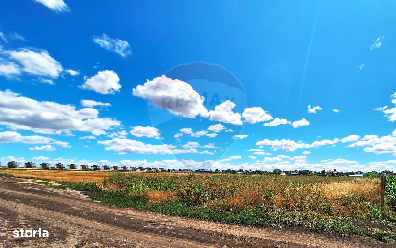 Teren Focsanei / DN sat Focsanei Vadu Pasii - Imagine principală: 3/8