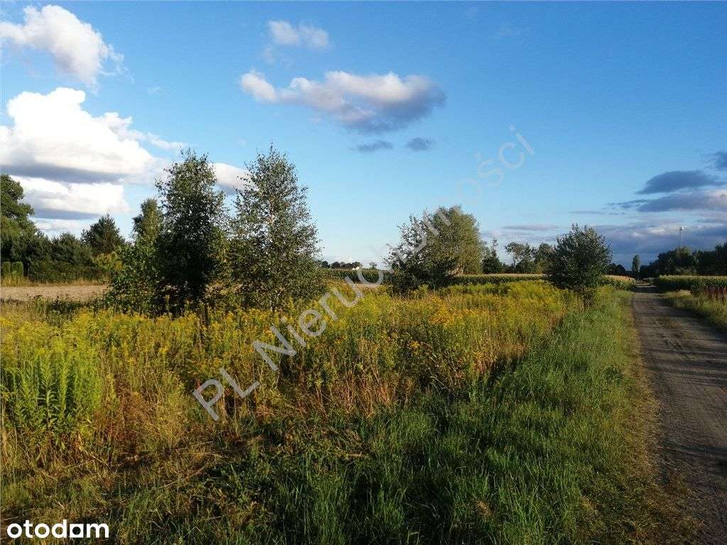 Nieduża działka budowlana na uboczu-1