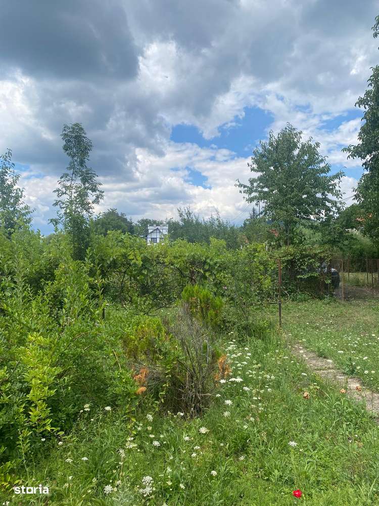 Oază premium în Cornu de Jos, în zona centrala(Campina) | 2000mp-5
