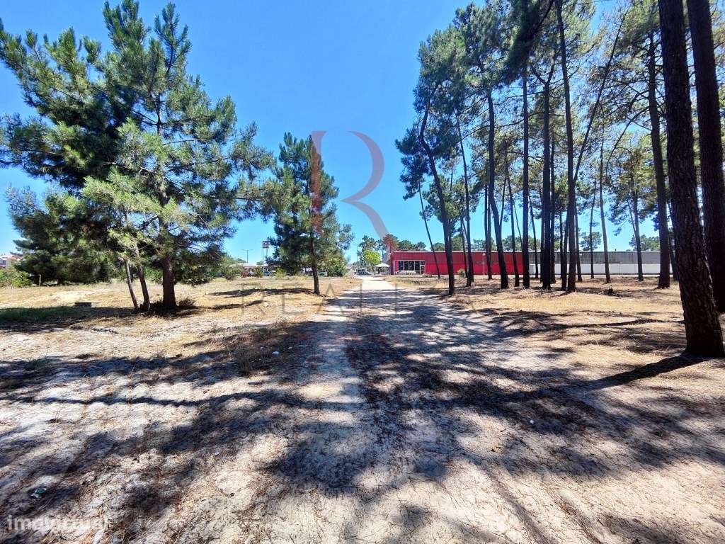 Lote de terreno em Pinhal de Negreiros - Grande imagem: 5/18
