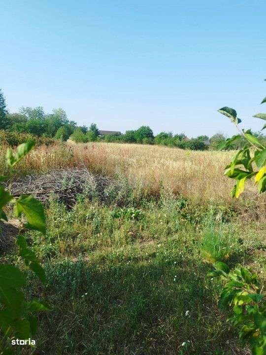 Teren intravilan situat pe strada Varful Mandra, Targu Jiu - Imagine principală: 5/6