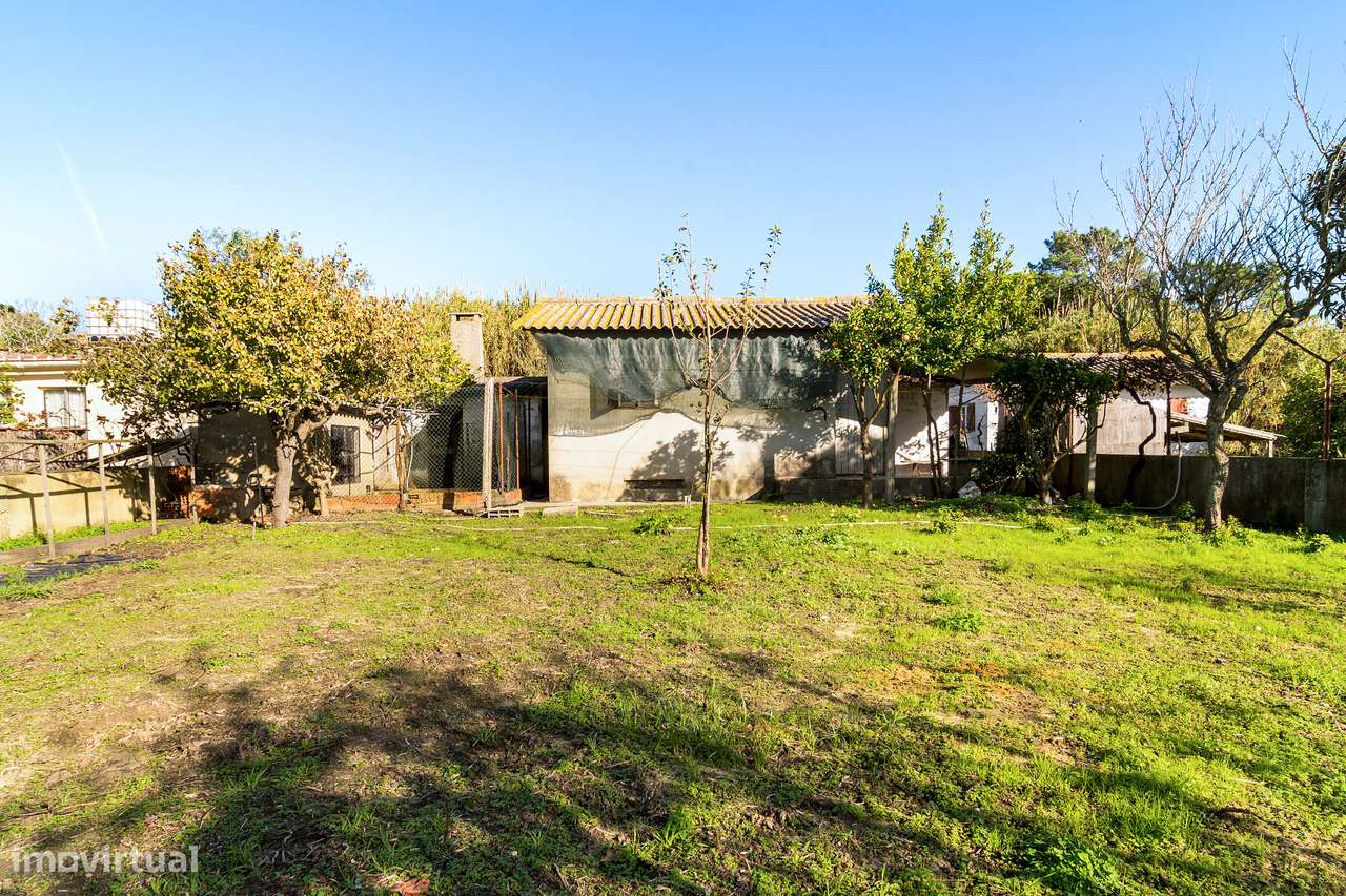 Terreno Rústico, Caparica - Grande imagem: 4/12