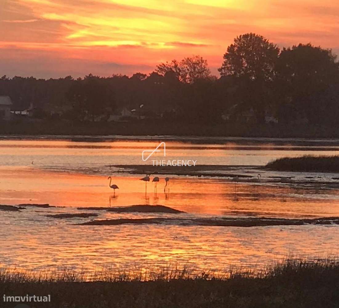 Eco-House Camp: a união perfeita entre natureza, luxo e sustentabilida - Grande imagem: 4/45