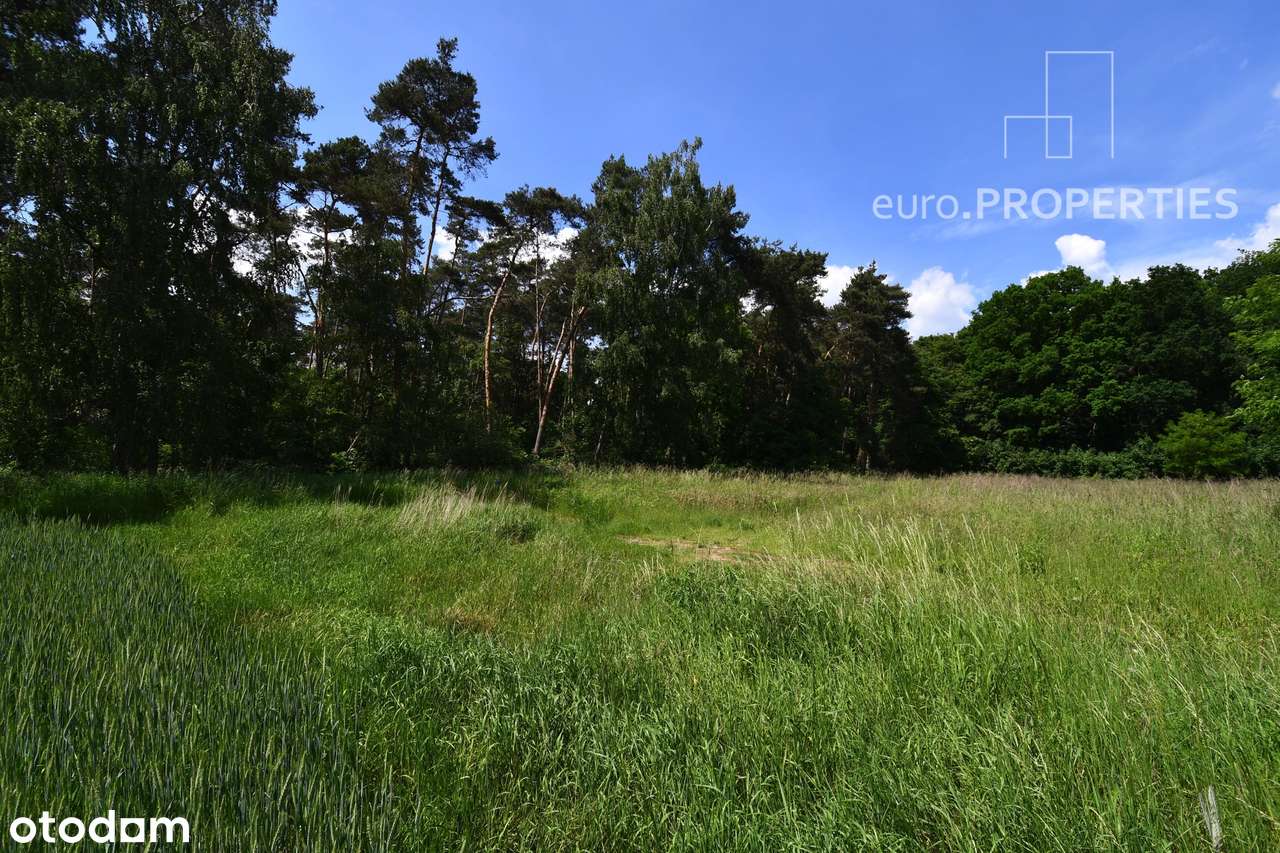 Działka z M.P.Z.P. nad jeziorem :: 197/3.8 - 1197m-17