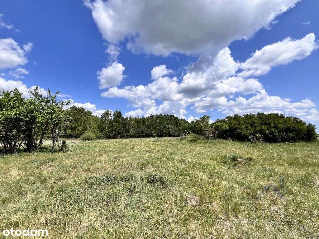 Maluszyn- okazja- dwie działki w cenie jednej ! - Pełny obrazek: 4/8