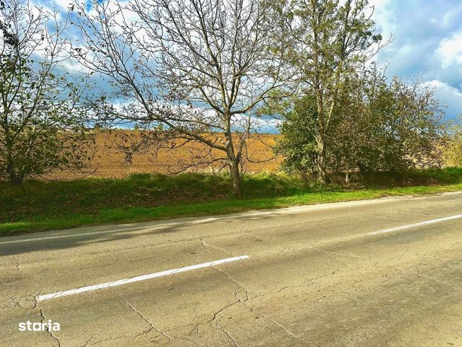 Teren în Bacău cu C.U. pentru construire, Calea Dr. Alexandru Șafran-3