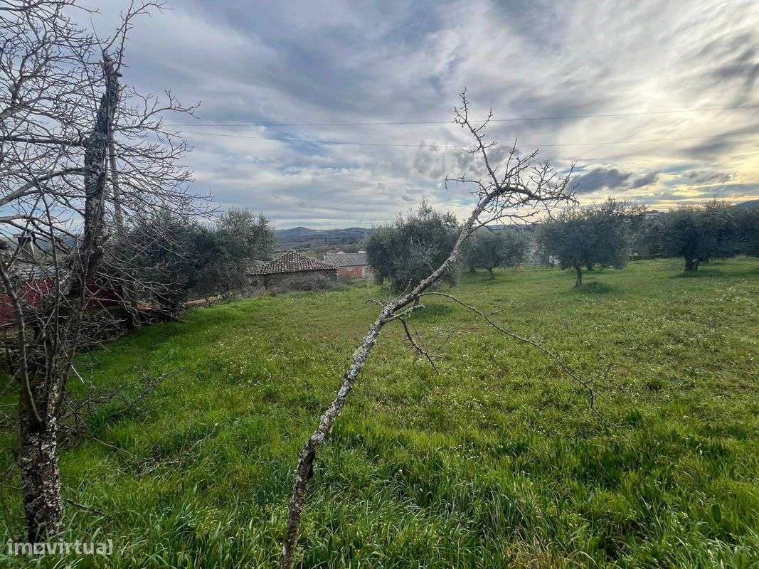 Moradia T3 para venda - Grande imagem: 3/11