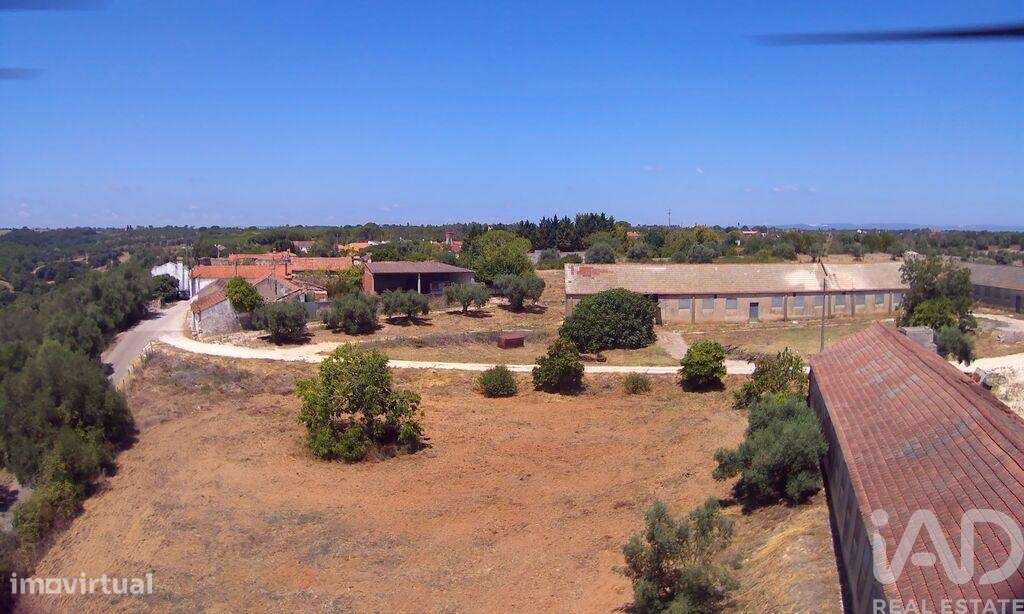 Quinta T3 em Almoster de 2364,00 m2 - Grande imagem: 3/30