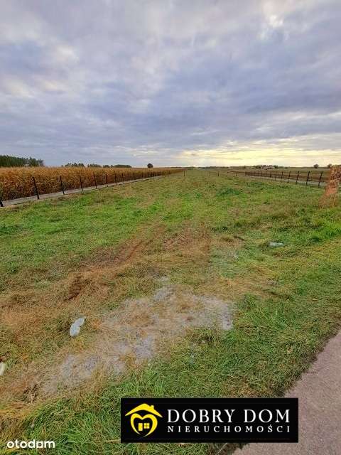 Działki budowlane 8 km od Łukowa! Okazja! - Pełny obrazek: 5/6