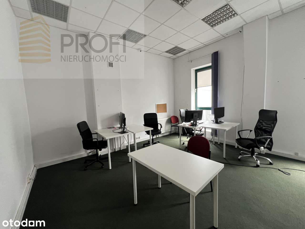 Produkcja/magazyn/handel 910m2 z biurem, Pruszków/Piastów - Pełny obrazek: 4/9