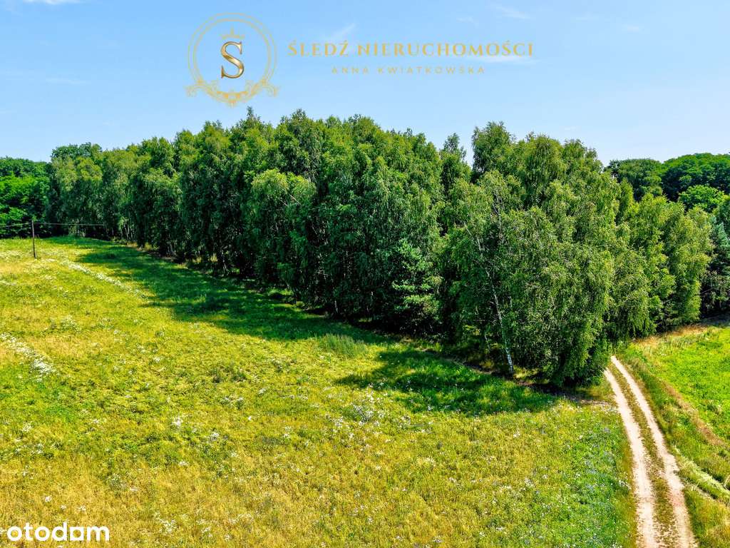 1,2 ha Działka Budowlana 45 min od Wrocławia + Las-8