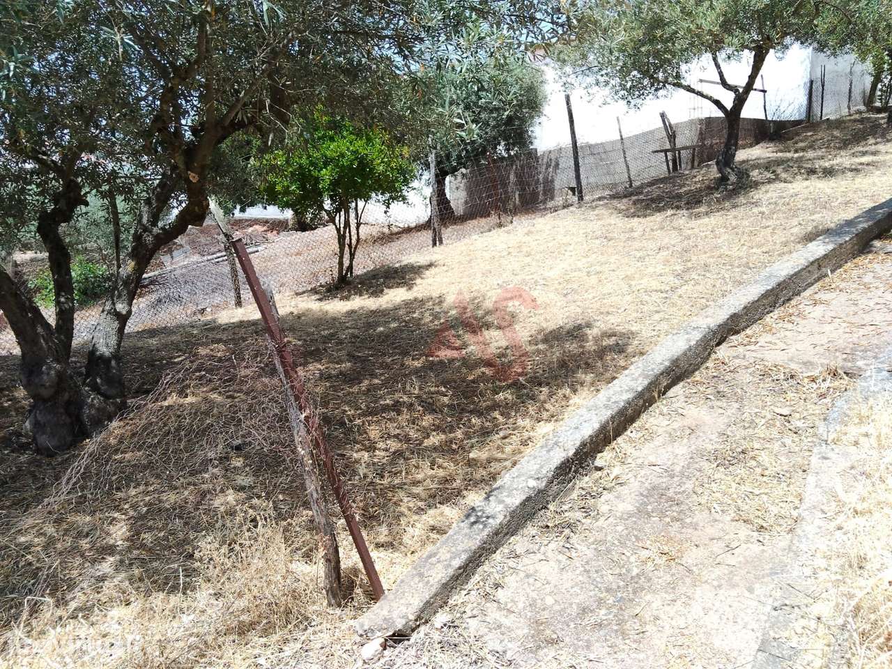 Moradia T1 Térrea para Restaurar em Santo Aleixo da Restauração – Mour - Grande imagem: 5/16