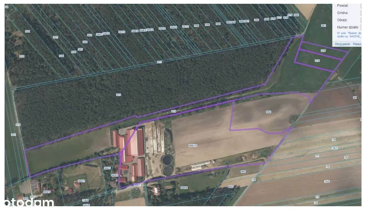 Duże gospodarstwo hodowli bydła PRZETARG-1