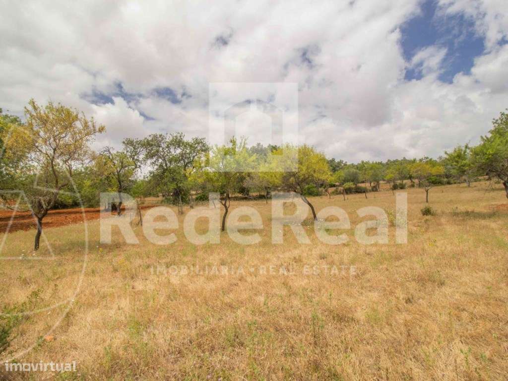 Terreno Rústico, Loulé, Boliqueime - Grande imagem: 5/5