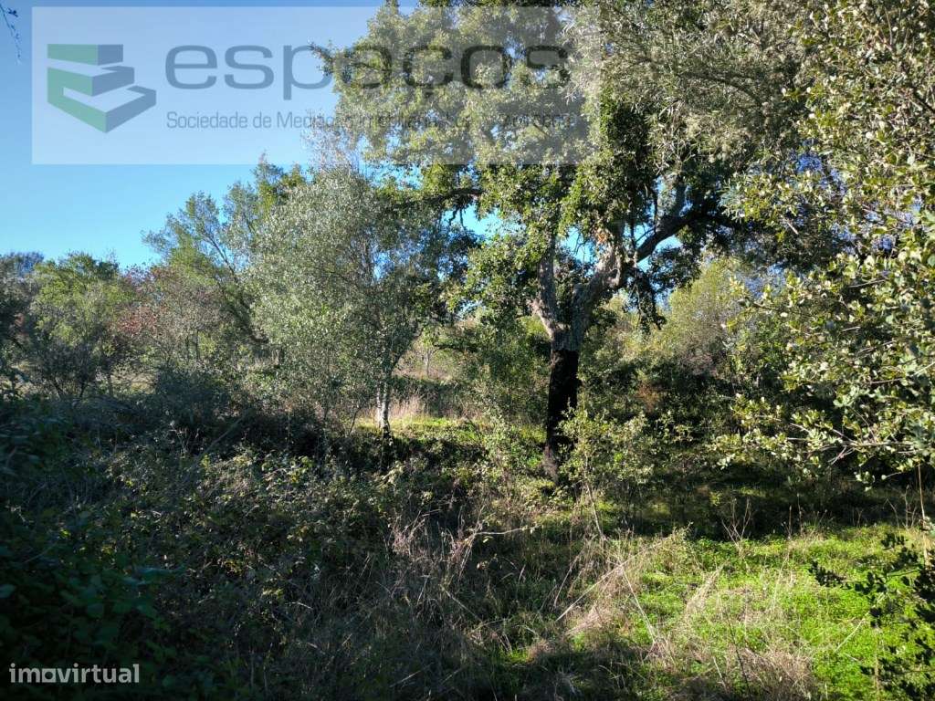 Terrenos com poços - Lentiscais - Grande imagem: 3/19
