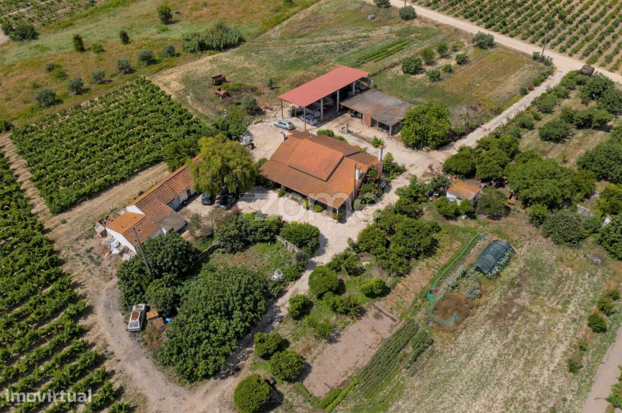 Herdade D Alda Vinhas Prestigiadas E Premiadas