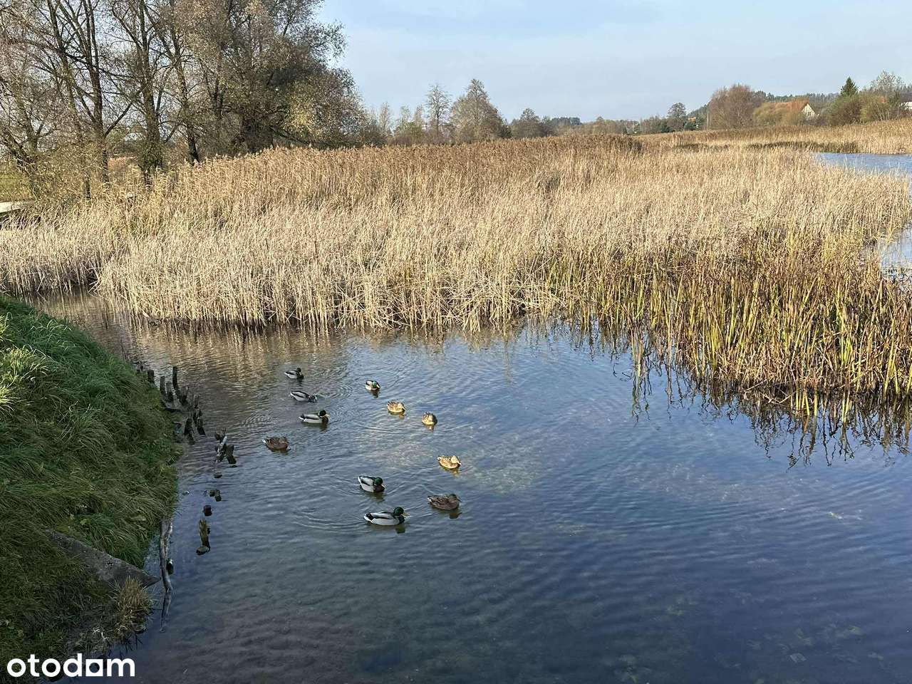 Mieszkanie gotowe do wprowadzenia, w pobliżu Ełku!-10