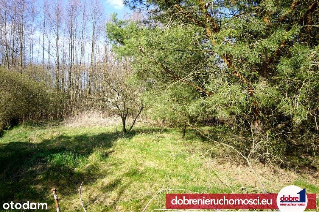 działka 4065 m2 pod planem Niemcz - Pełny obrazek: 4/8