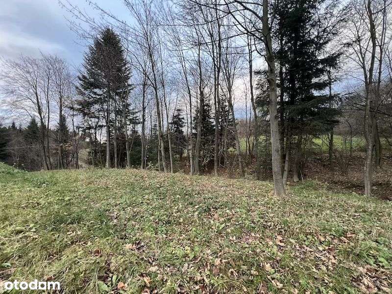 Działka Budowlana, Beskidy , cisza spokój, blisko Krakowa - Pełny obrazek: 5/8