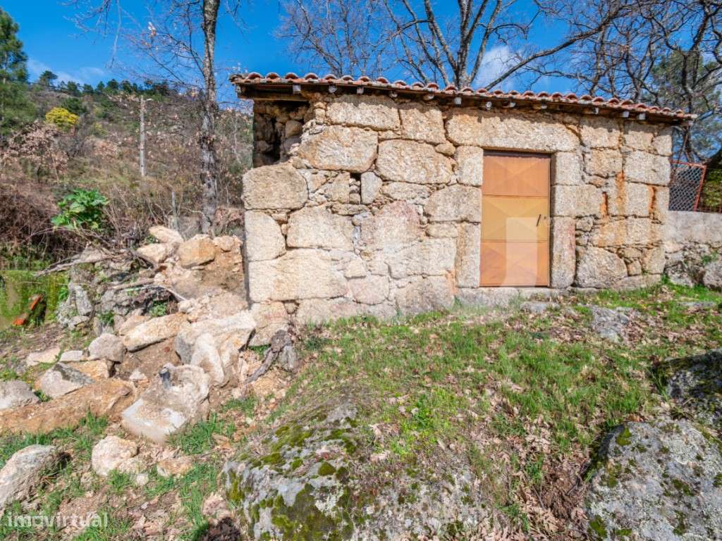 Quinta T2 com Habitação, Infraestruturas Agrícolas e Terreno com Vi... - Grande imagem: 5/49