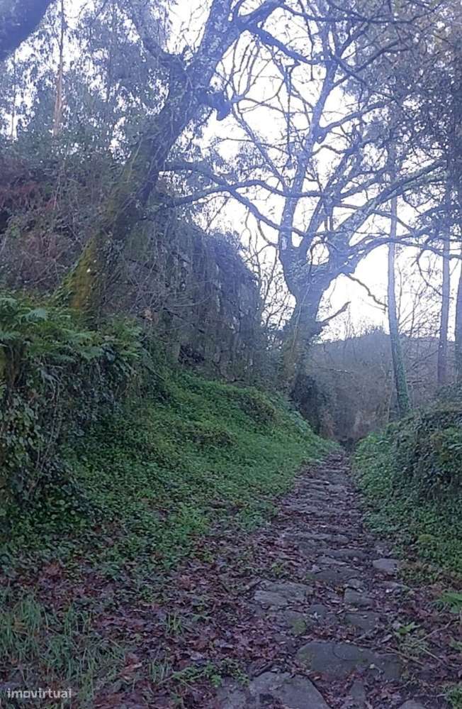 Terreno - Caldelas - Grande imagem: 4/11