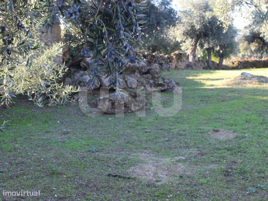 Terreno Urbano com 850m2 de área-5